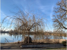 Bild-2